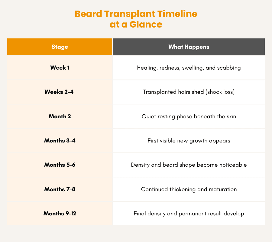 beard transplant timeline at a glance